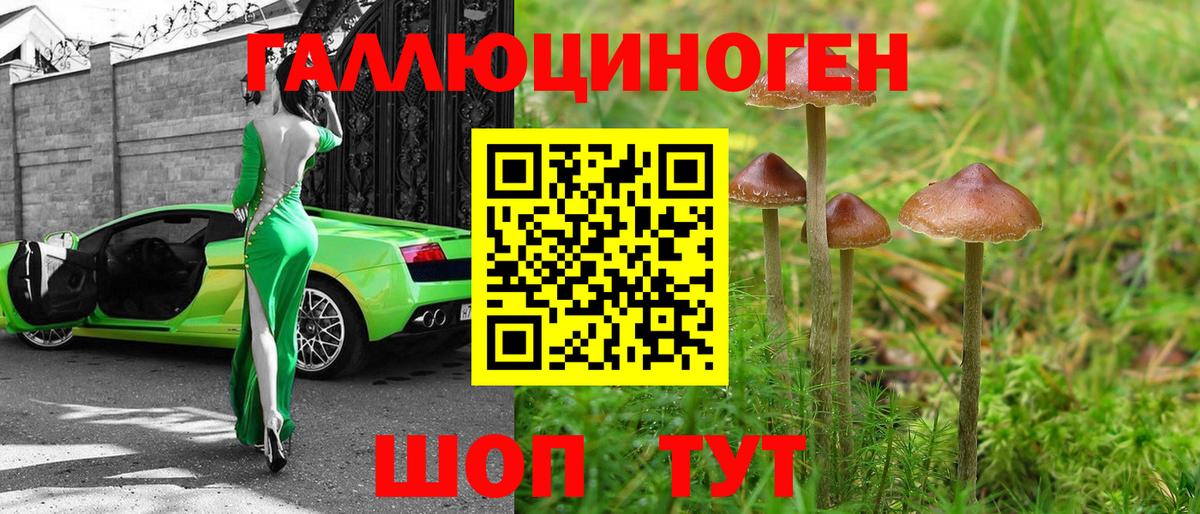Бор  Галлюциногенные грибы Psilocybe  Вход с VPN 