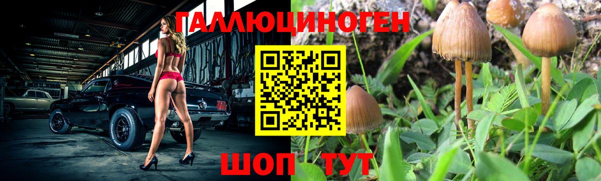 Галлюциногенные грибы мухоморы Бор